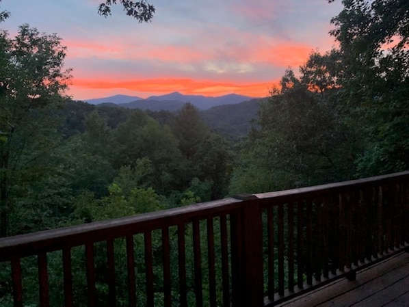 Tree house cottage sunset views 