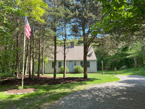 Nestled in the pines