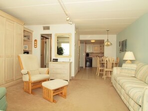 Living/Sleep Area