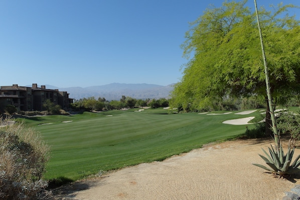 Beautiful vista from resort. 