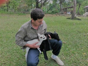 Animaux de compagnie acceptés