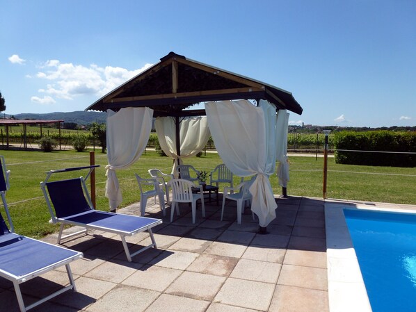 Pool and vineyards