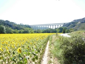 Aqueduc de Roquefavour à 1 km
