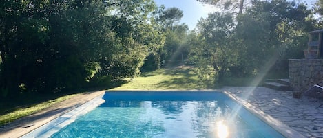 Immense piscine 12 mètres de long (x5m) dans un écrin de verdure et de calme