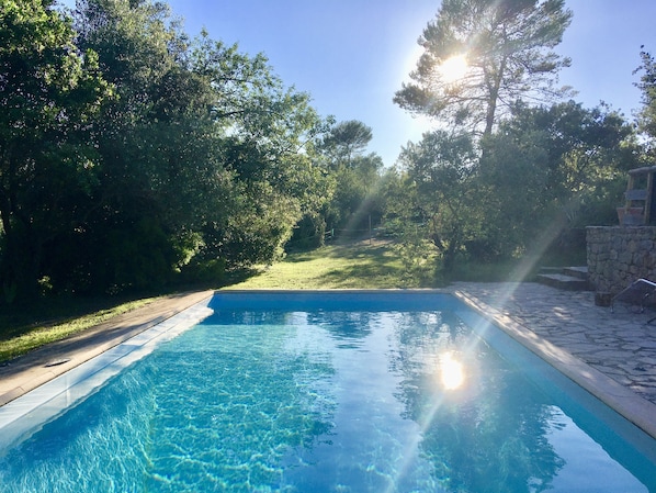 Immense piscine 12 mètres de long (x5m) dans un écrin de verdure et de calme