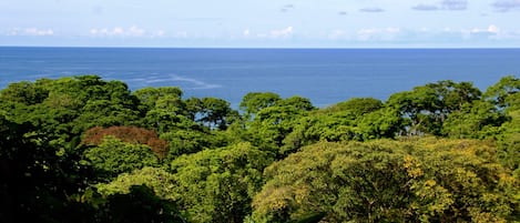 Beautiful ocean view from porch