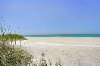 Longboat Key Condo