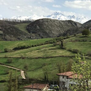 Terrain de l’hébergement 