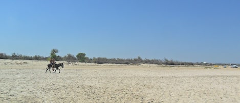 exterieur de la residence, coté plage