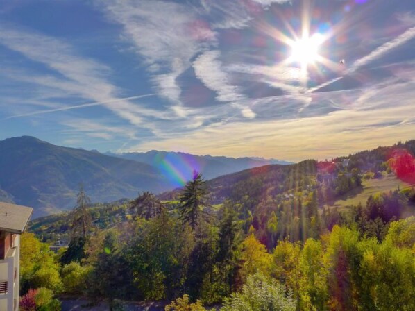 View