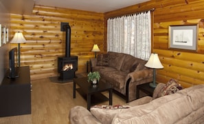 Living room with Satellite TV and DVD player