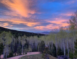 Patio view!