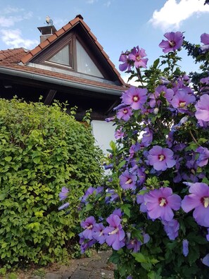 Außendetails