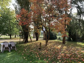 Il giardino