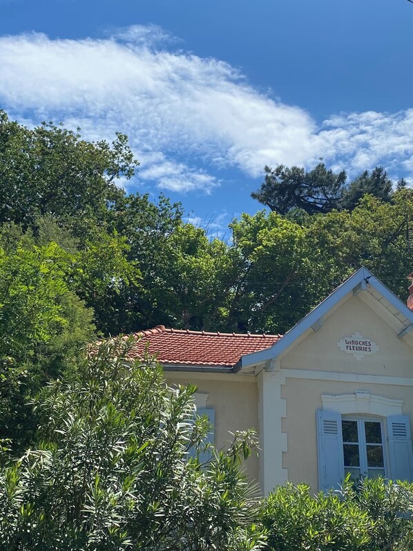 Detalj exteriör