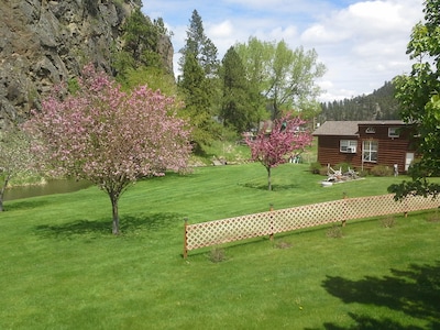 Antelope Loft, Cabin on a beautiful meadow, surrounded by a quiet little stream.