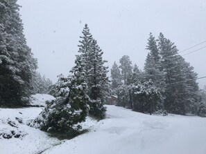 Skidåkning och snöaktiviteter