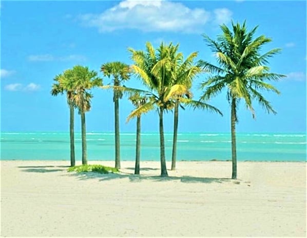 close walking distance to the beach