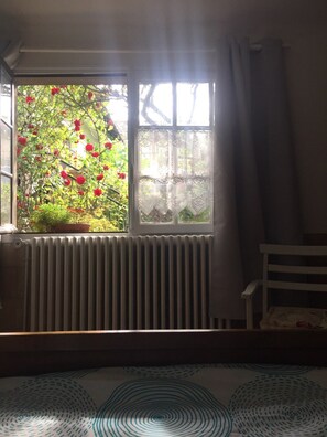 Fenêtre de la chambre