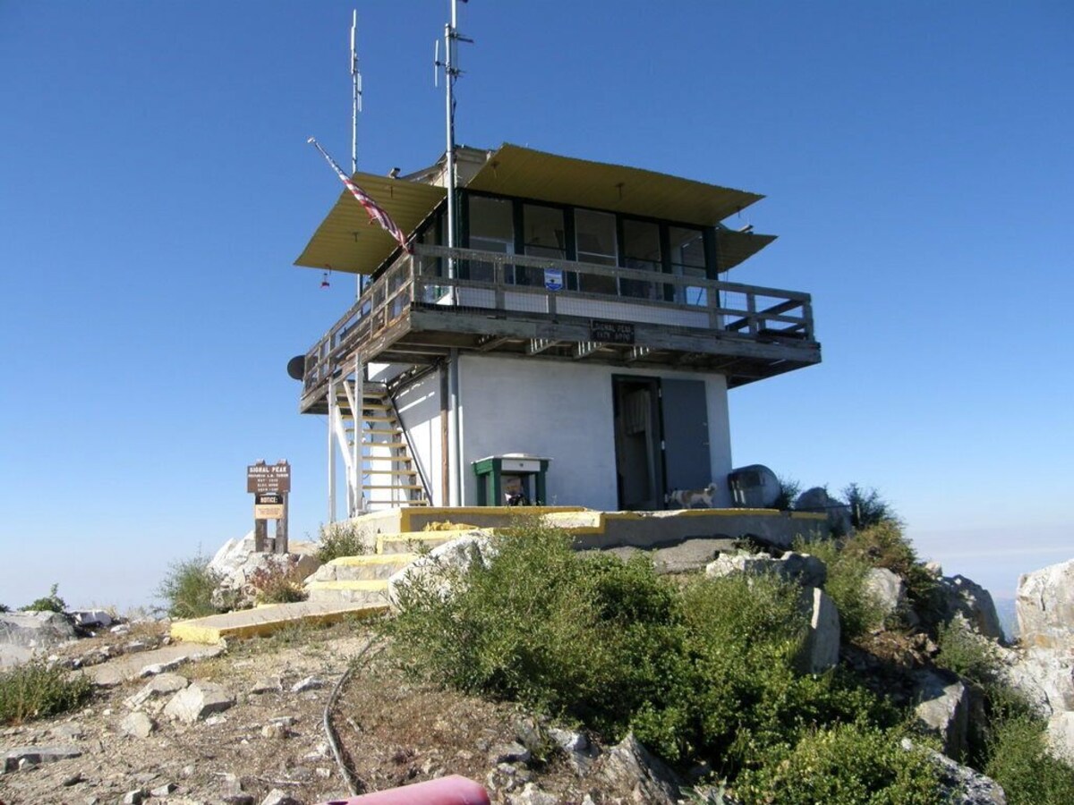 Main Image