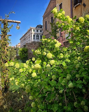 Esterni