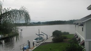 Back View of Paradise