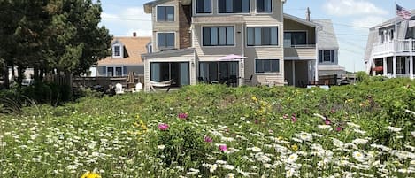 View of our home from our yard. Fragrant sea roses and wildflowers in full bloom