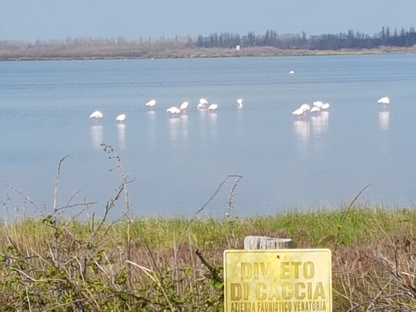 Oklassificerad bild, 1 av 21, knapp