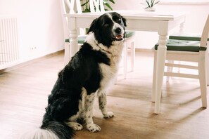 Interiör