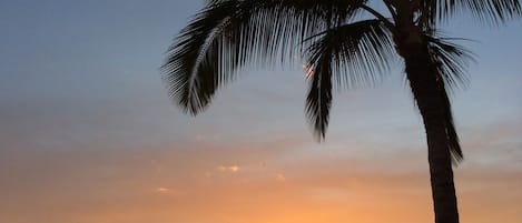 Your Sunset
Aloha