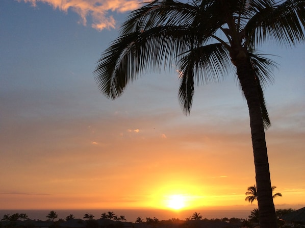Your Sunset
Aloha 