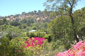 View from Front Door