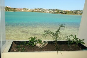 Beach/ocean view