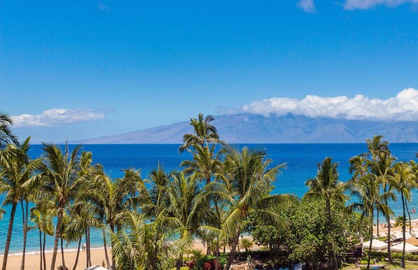 Vue sur la plage ou l’océan