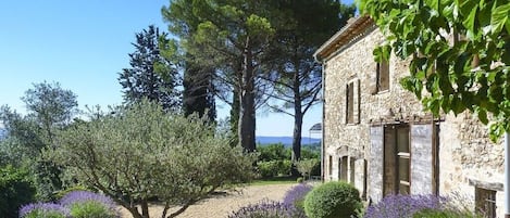 Carefully restored 18th century farmhouse in gorgeous mature garden
