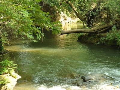 Steam Flowing/River side Cottage Stay