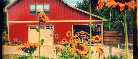 The Studio is on the second level of the barn with a view of the gardens