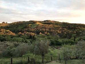 Terrenos do alojamento