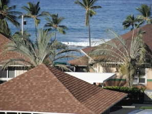 A  surfer at Honl's beach