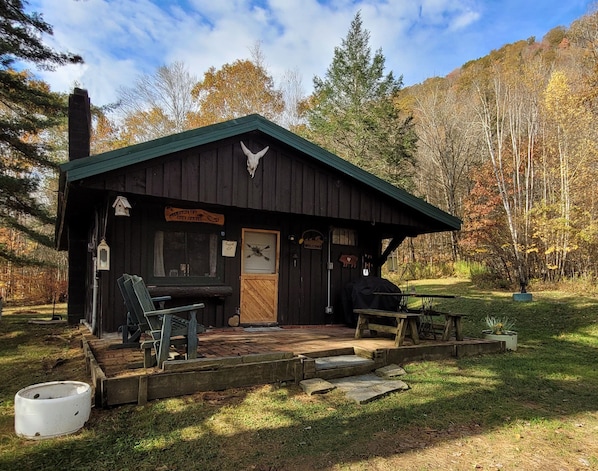 Welcome to the Catskills Mountain Cabin