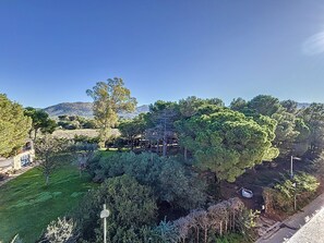 Views