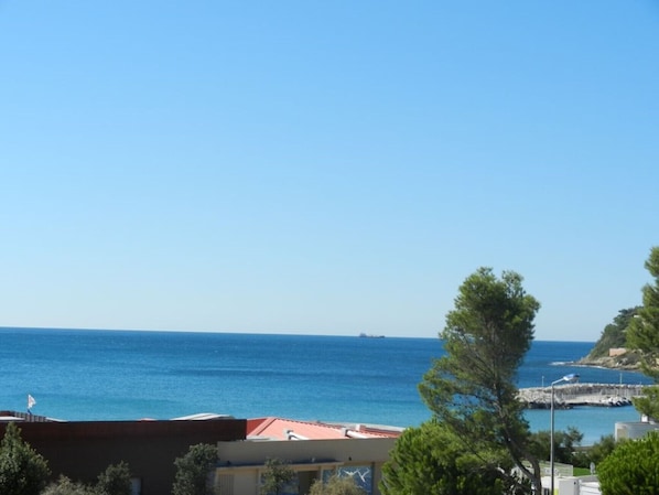 Beach/ocean view