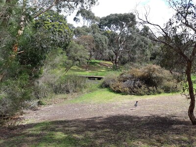 Holiday house nestled in native bush land overlooking wetlands