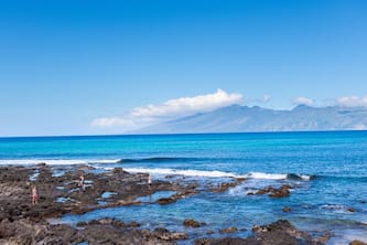 Napili Shores D-125 - Napili Bay and Complimentary Activities
