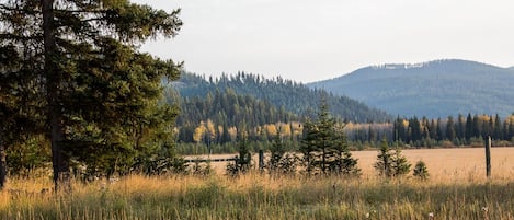 Terrain de l’hébergement 