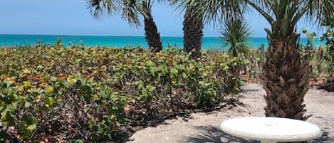 The beach view from the front porch