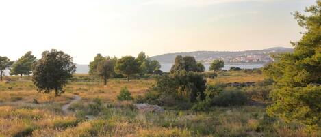 A11(4+2): vue de la terrasse