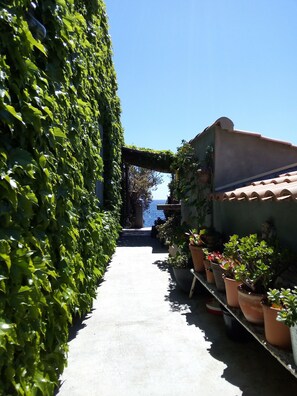 entrée
