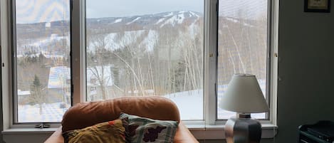 Great view of Mt Snow from Living Room. 