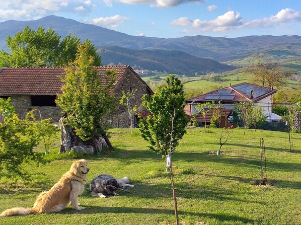 Jardines del alojamiento